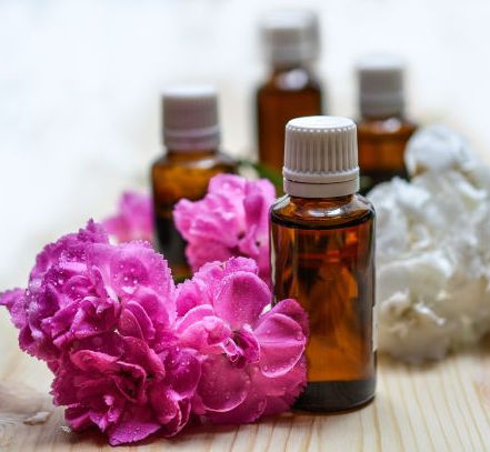 Spike Lavender Essential Oil - Organic - Snow Lotus Aromatherapy