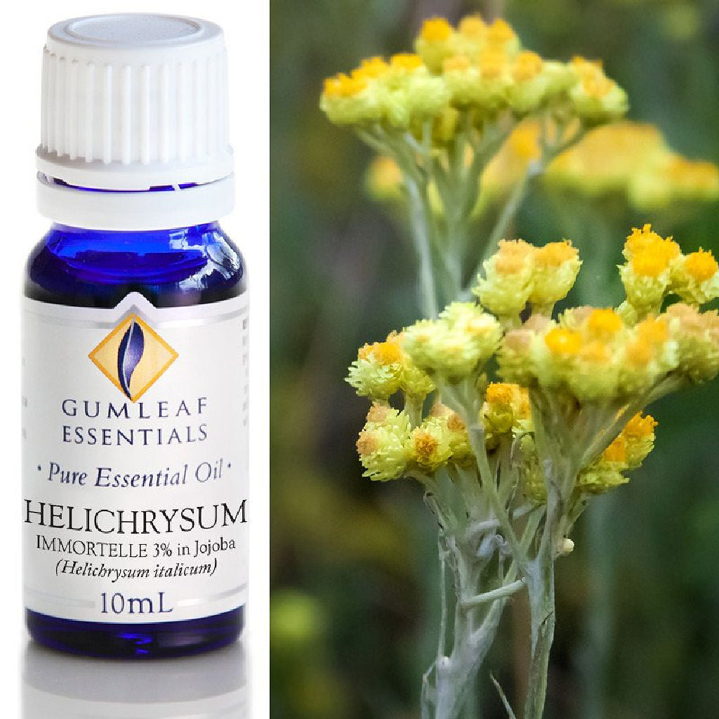 Helichrysum Essential Oil