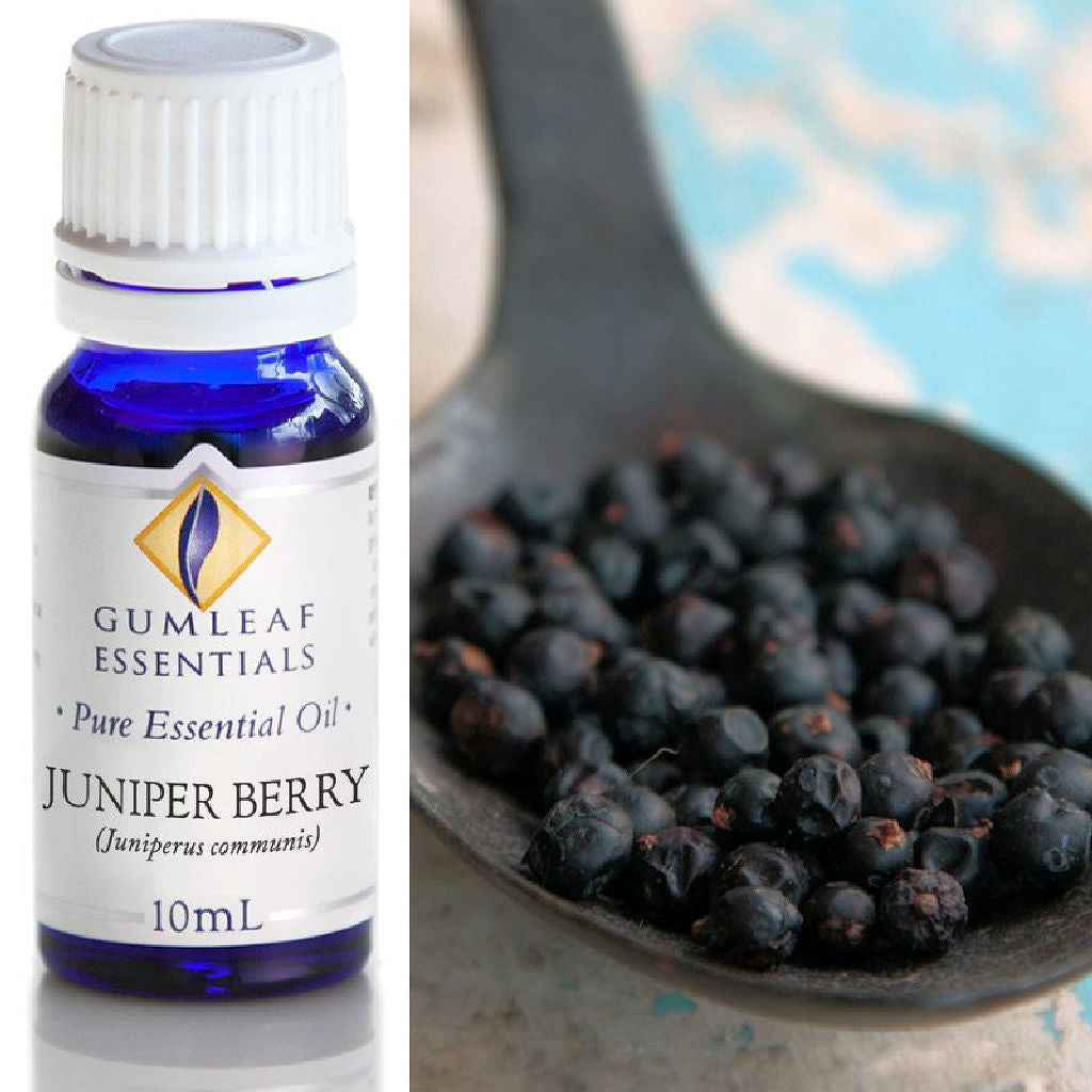 Juniper Berry Essential Oil