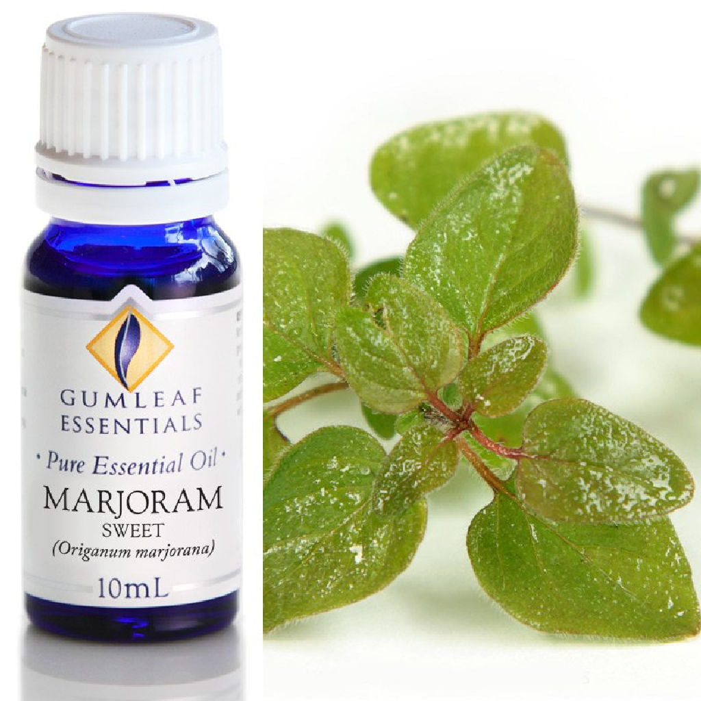 Marjoram