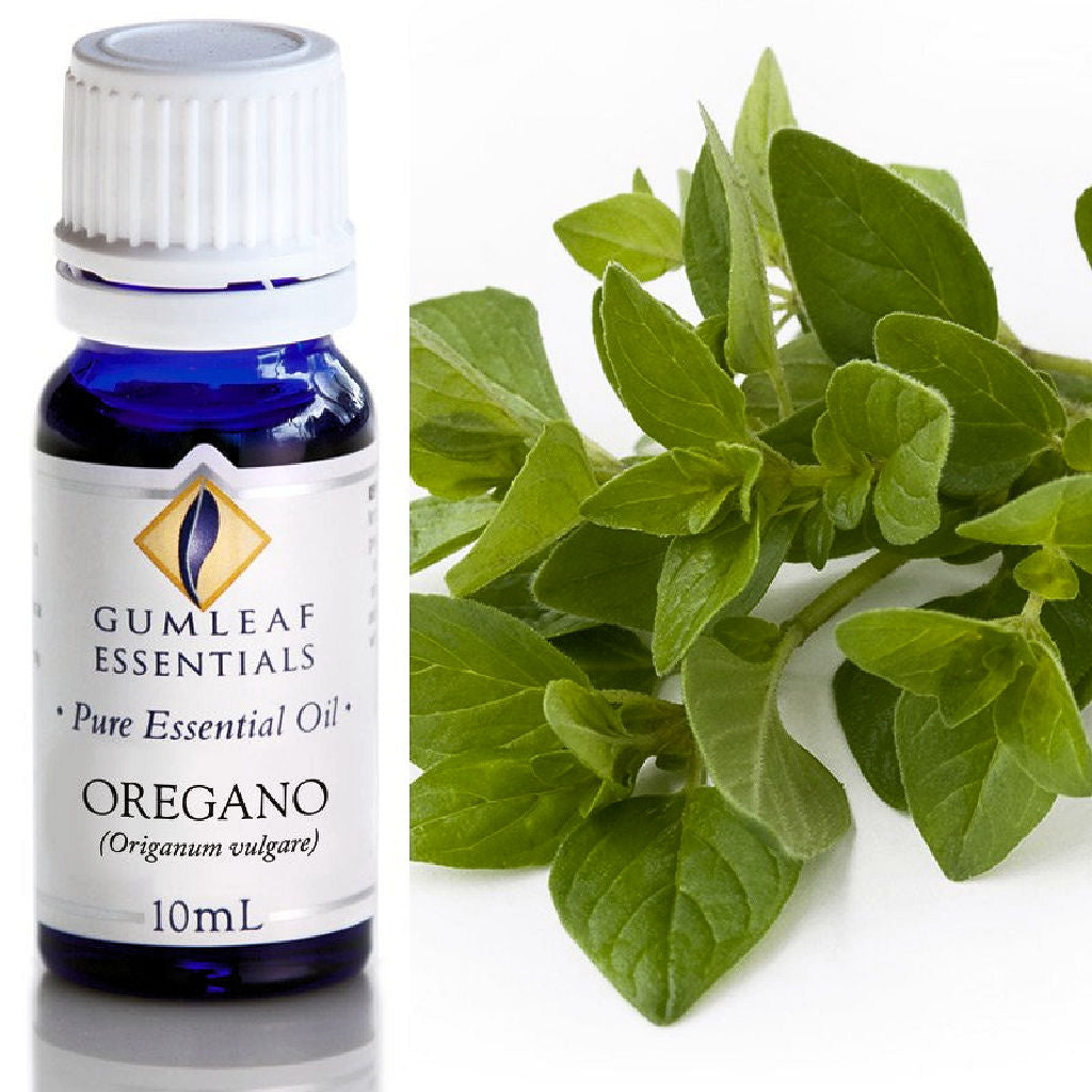 Oregano Essential Oil
