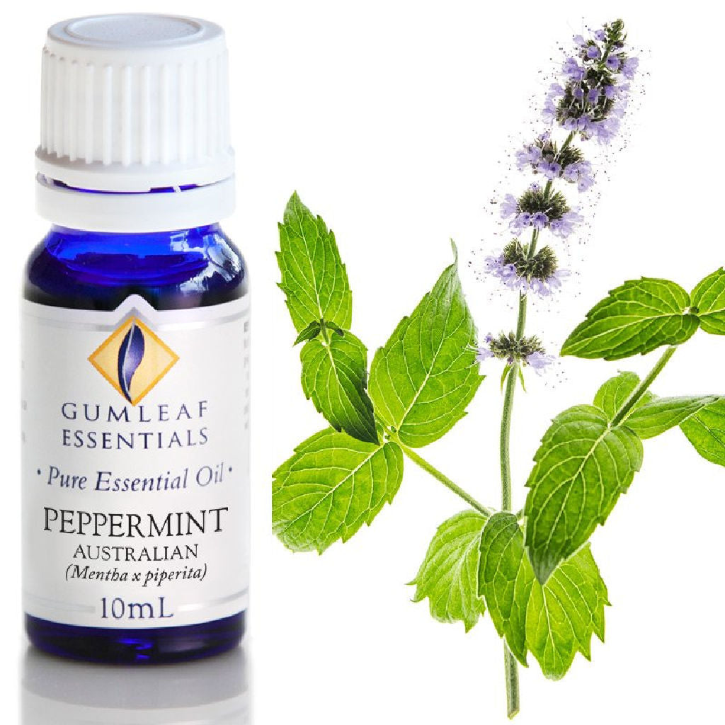Peppermint Essential Oil