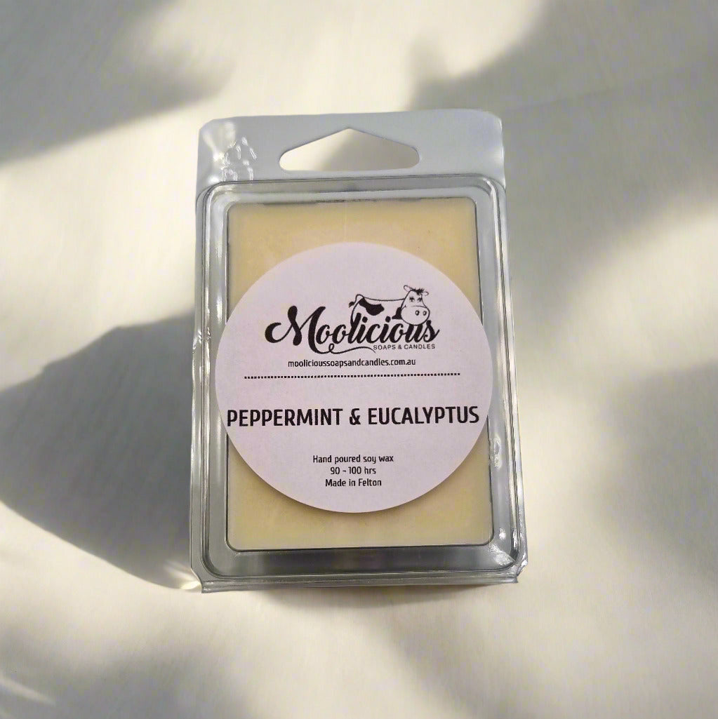 Peppermint & Eucalyptus soy wax melts
