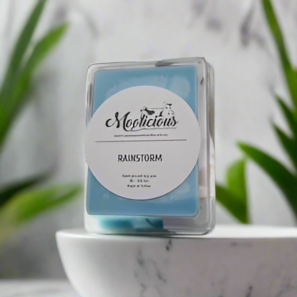 Rainstorm soy wax melts