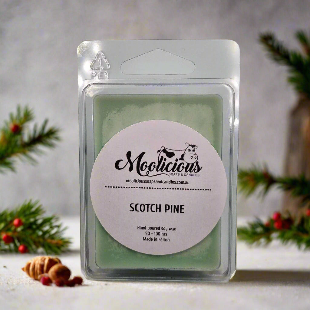 Christmas Scotch Pine