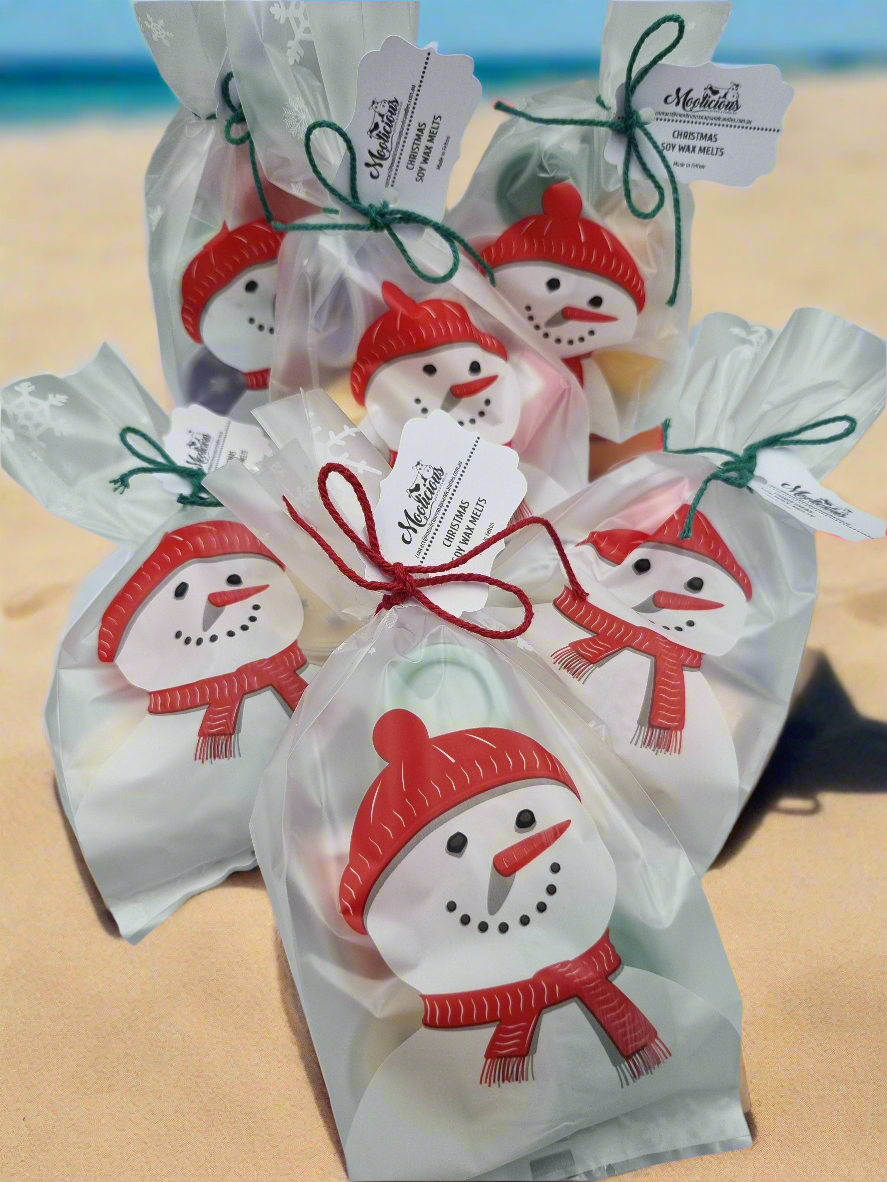 Christmas Soy Wax Melts Packs 