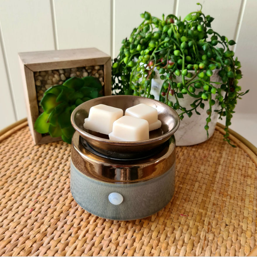 2 in 1 Isaac fragrance warmer