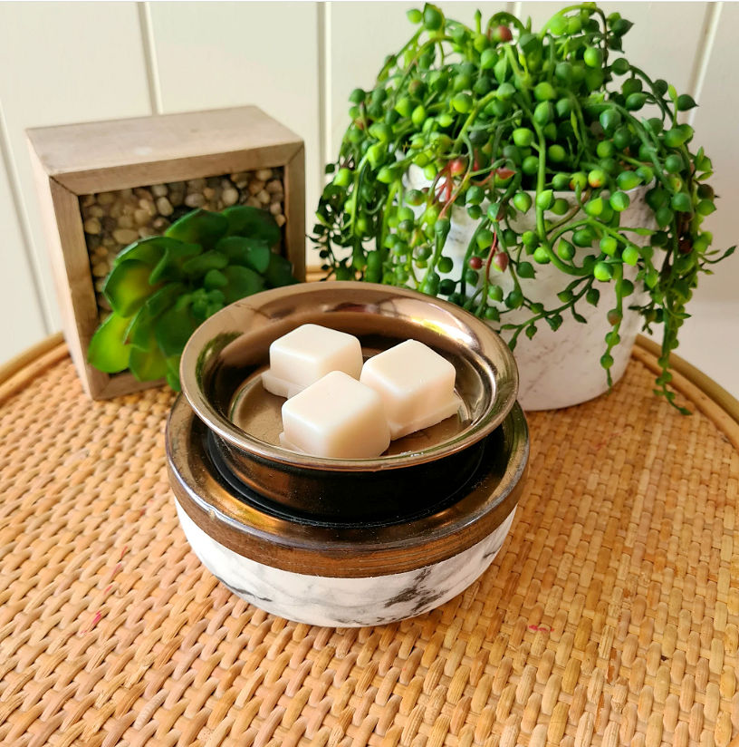 2-in-1 Zara Fragrance Warmer