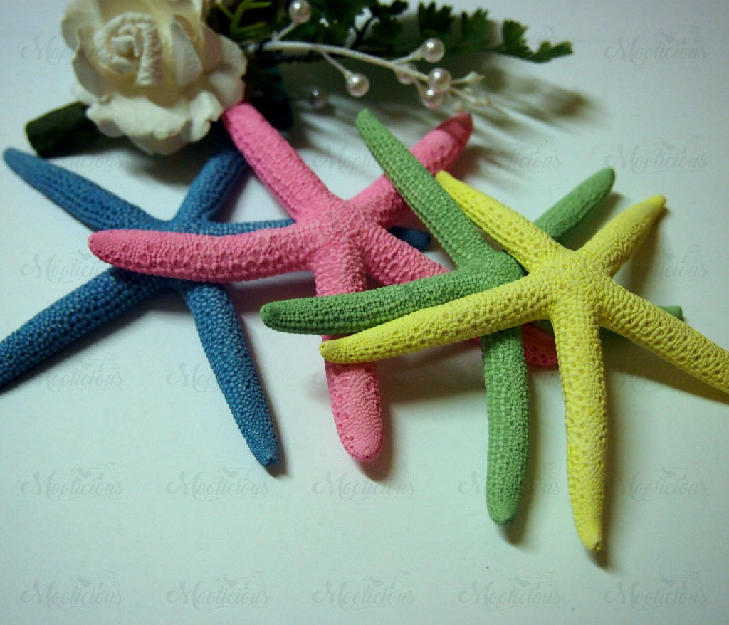 Finger Starfish Blue Green Yellow Pink 10cm x 13cm