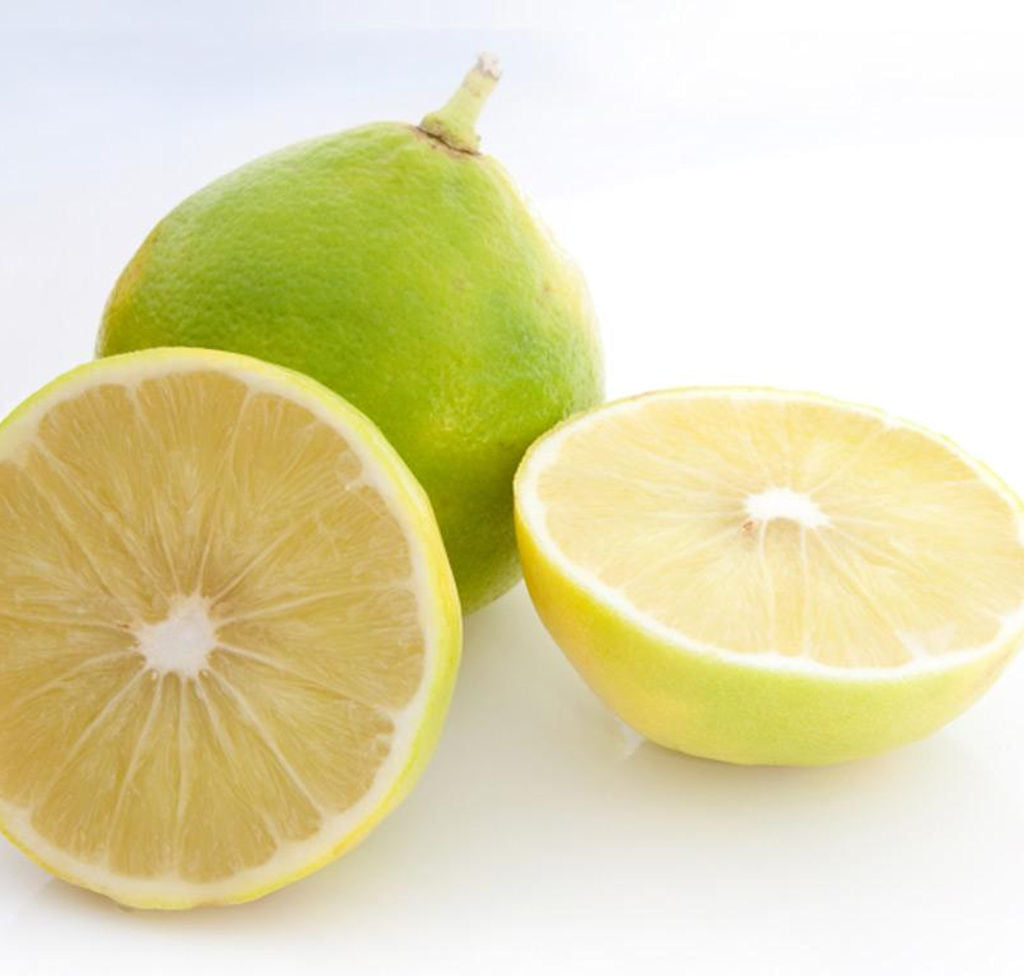 Bergamot Essential Oil