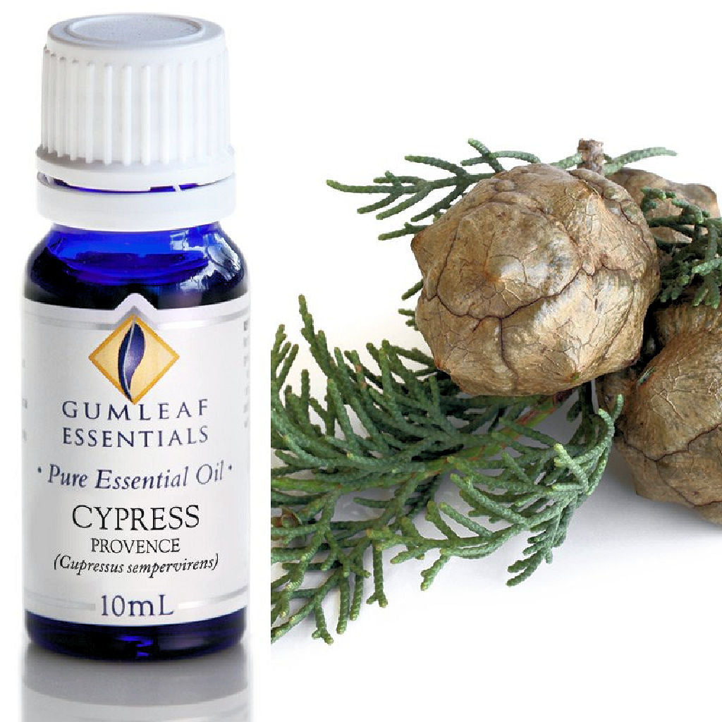 Cypress Provence Essential Oil