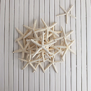 White/Cream Finger Starfish 10cm x 13cm (PK 6)