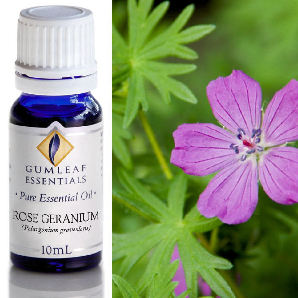 Rose Geranium Essential Oil