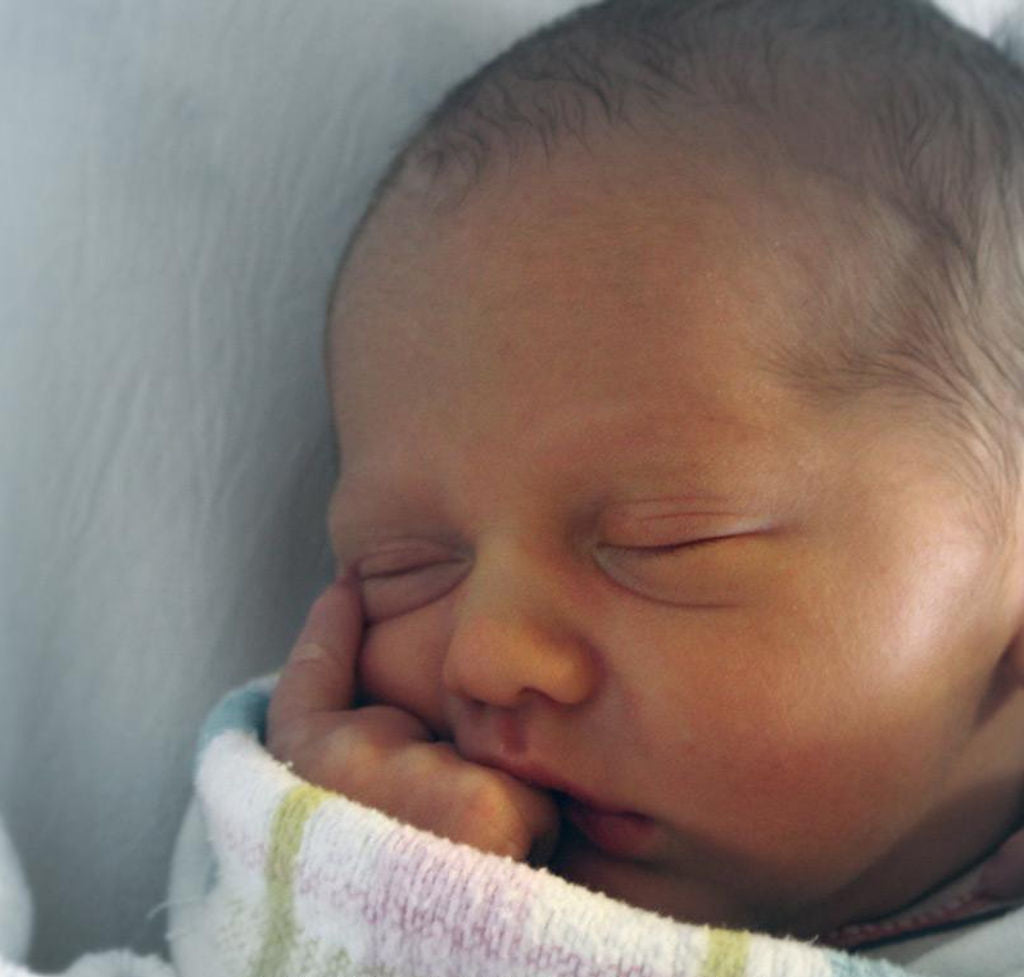 Baby Calm Essential Oil Blend