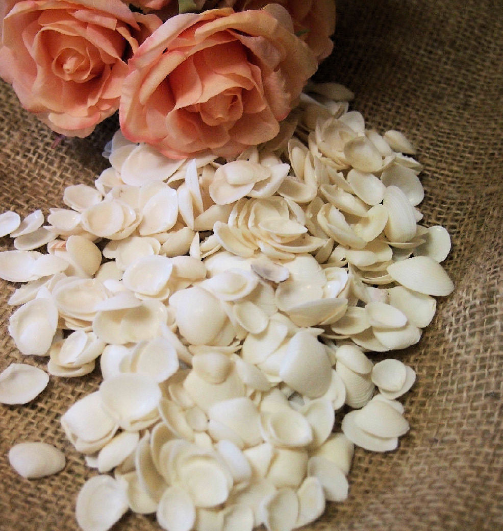 Cay Cay White Shells 200g