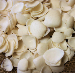 Cay Cay White Shells 200g