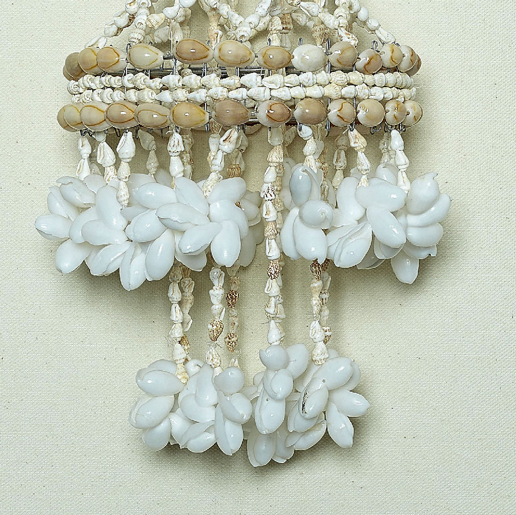 Chandelier Shell Passig Nassa