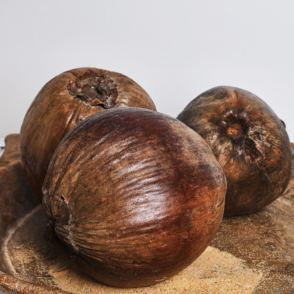 Coconut Decor -  Australia