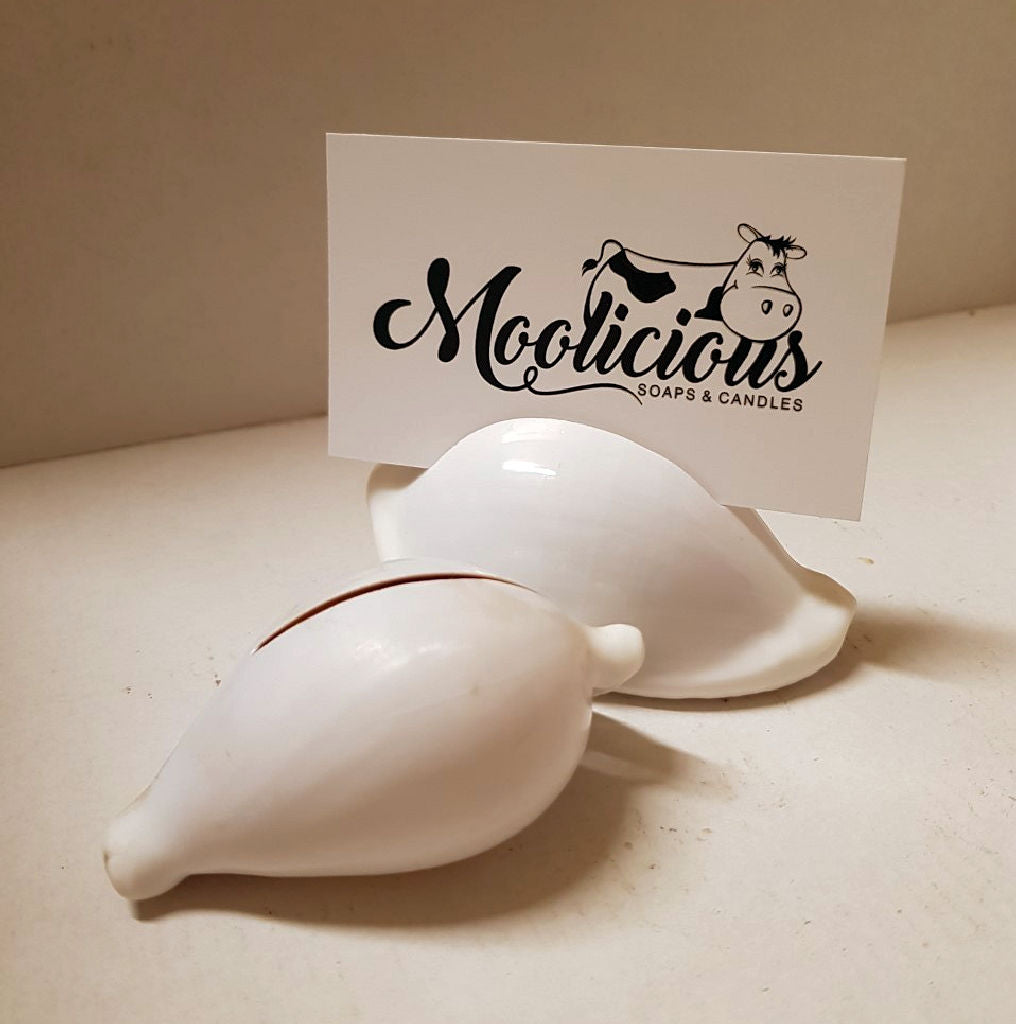 Egg Ovum Shells Card Holder