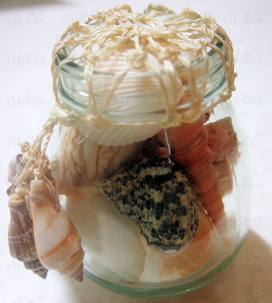 Mixed Shells Bottle