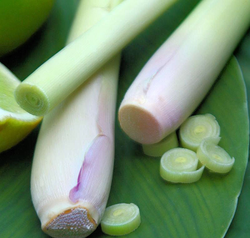 Lemongrass Essential Oil