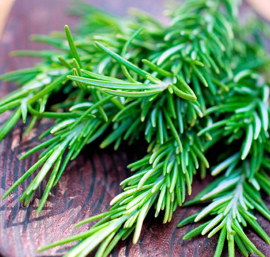 Rosemary Essential Oil