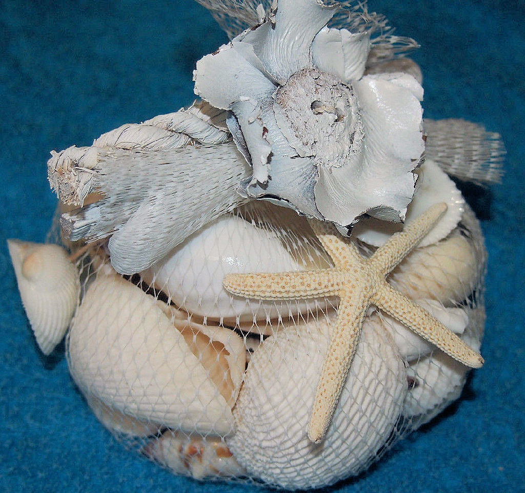 Twig White Shell & Starfish Pack