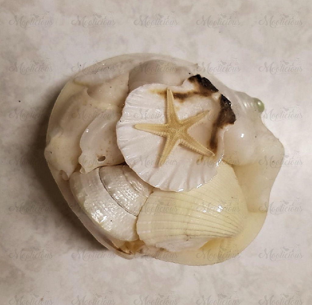 3 x Mini Shells & Starfish Packs | Moolicious Soaps & Candles
