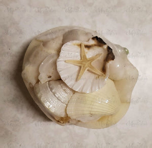 Mini Shell & Starfish Packs