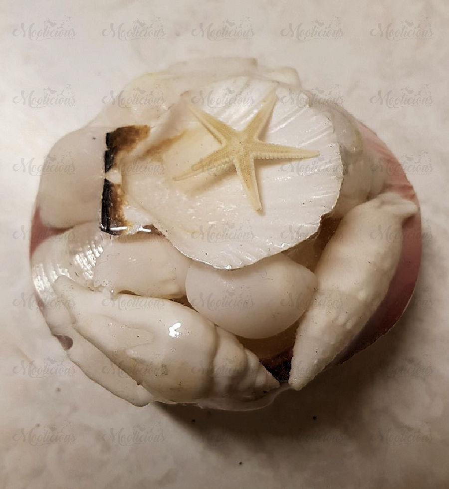 Mini Shell & Starfish Packs
