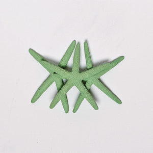 6 x Green Finger Starfish 10cm x 13cm