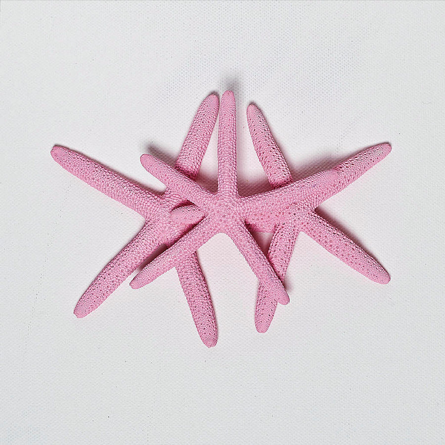 6 x Pink Finger Starfish 10cm x 13cm