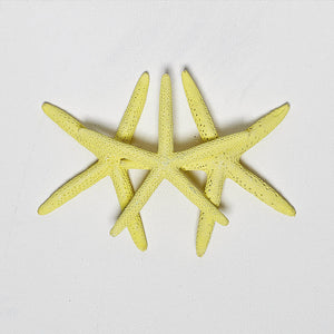 6 Yellow Finger Starfish 10cm-13cm