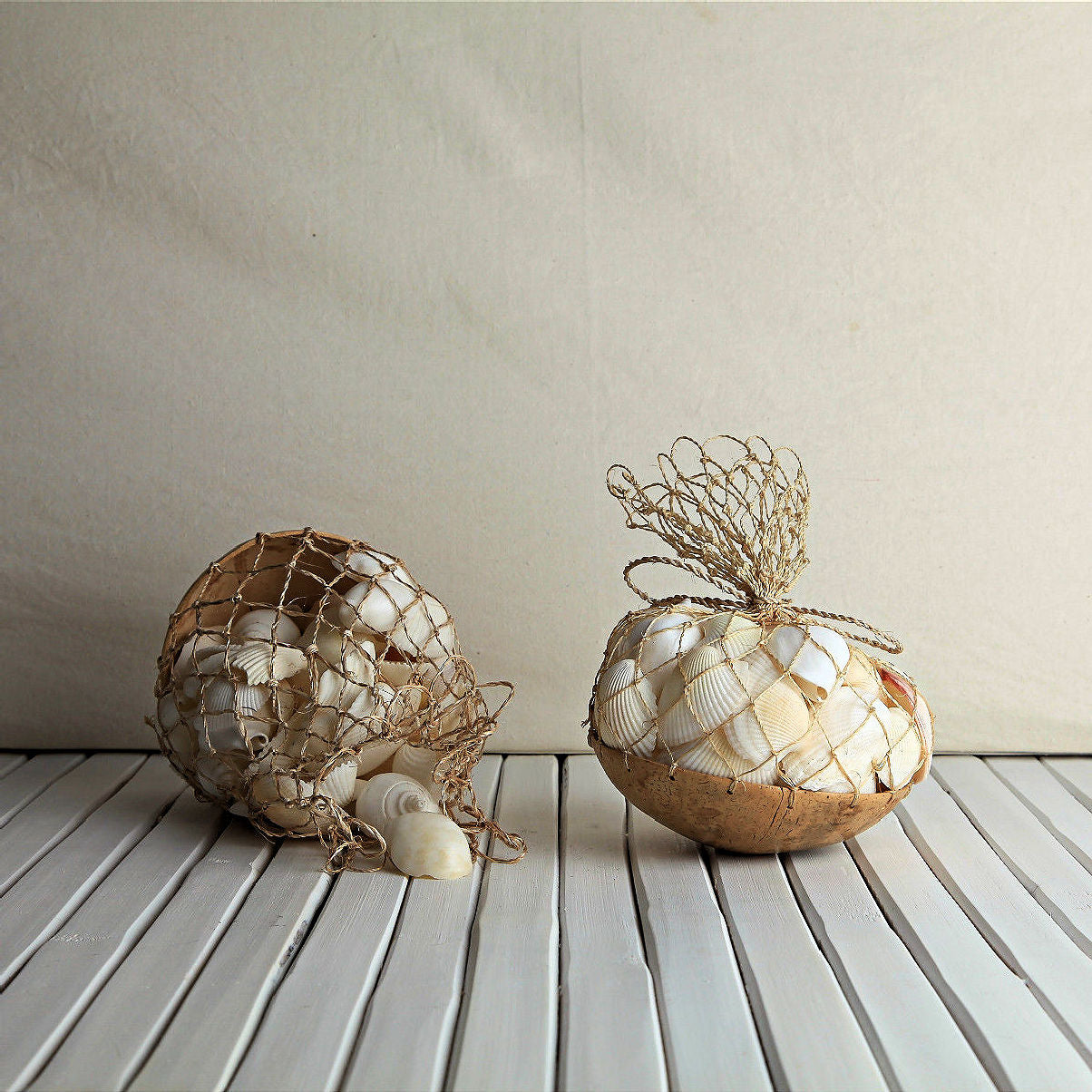 White shells Coconut Pack