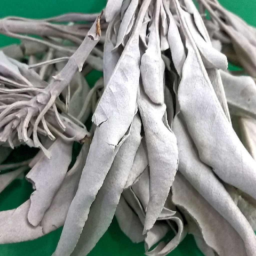 White Sage Loose